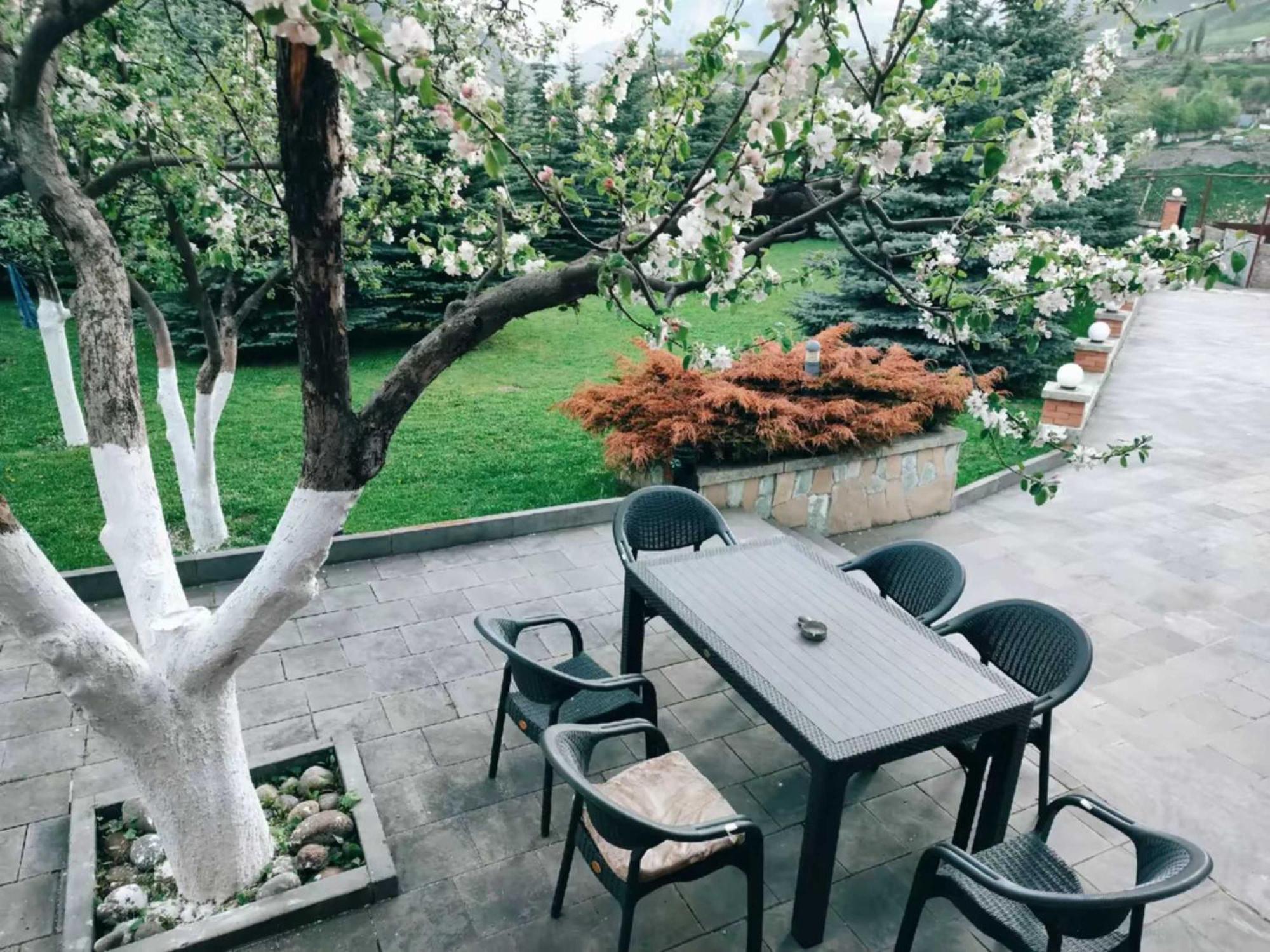 Vardisubani Villa Kazbegi Exterior foto