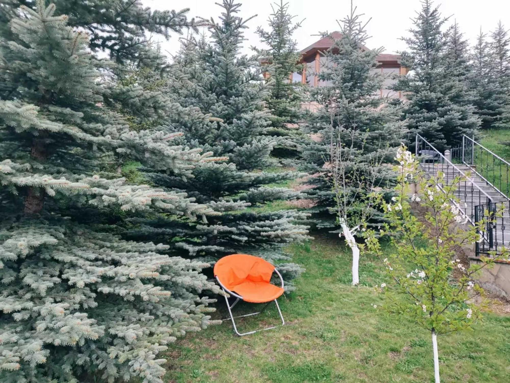 Vardisubani Villa Kazbegi Exterior foto