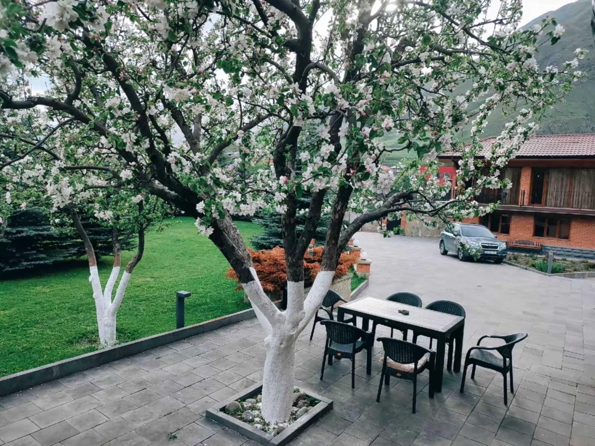 Vardisubani Villa Kazbegi Exterior foto
